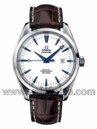 omega seamaster aquaterra