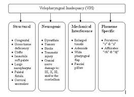 submucous cleft palate