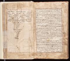 the canon of medicine