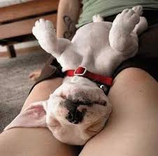 back sleeping