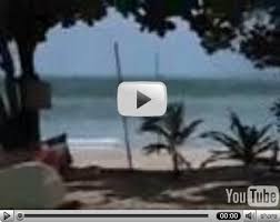 video clips