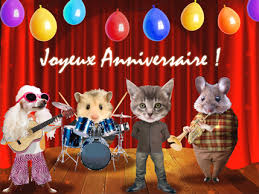cartes anniversaire humour