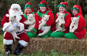 santa claus and his elves