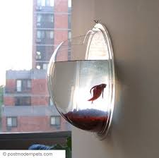 betta fish bowl