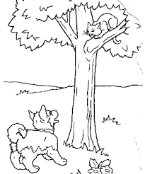 dibujos gatos