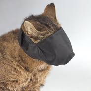 cat grooming bag