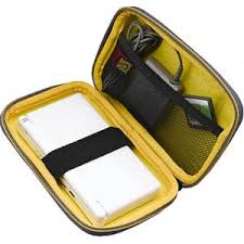 cases for ds