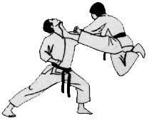 mae-tobi-geri.gif