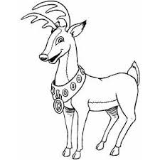 classifying organisms printables