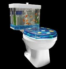 photos of fish