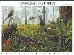 nature of america stamp series