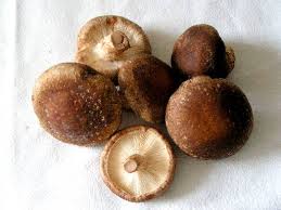 chinese black mushroom