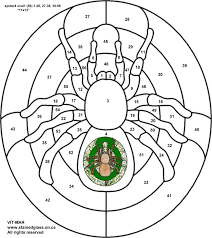 free spider pictures