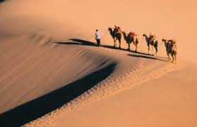 silk road food