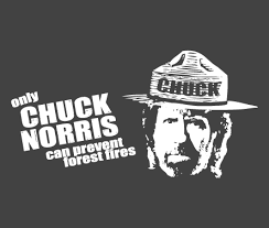 chuck norris tee shirt