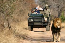 game safari