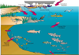 coastal pollution
