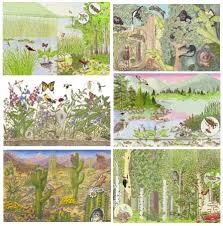 habitats in the desert