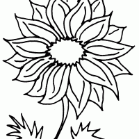 dvd-r spindle picture 100 unlabled printable