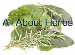 herbs cooking