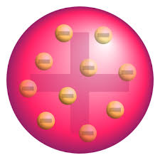 plum pudding