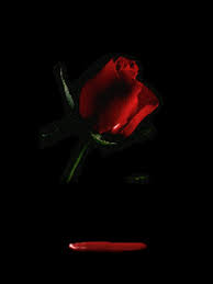 wallpapers animated