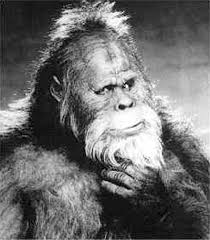 bigfoot or sasquatch