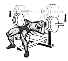 bench presses
