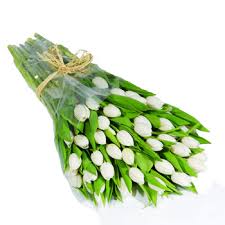 Paveikslėlis