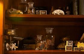 specimen jars