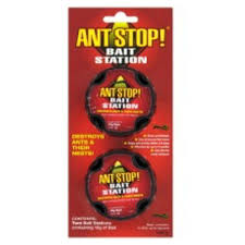 ant bait traps