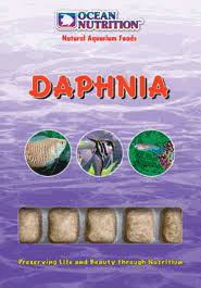 frozen daphnia