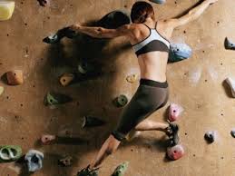 wall climbers