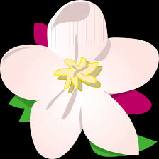 apple blossom clip art