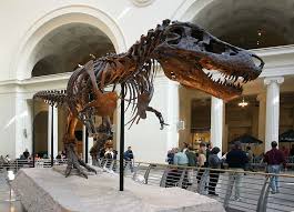 sue the t-rex