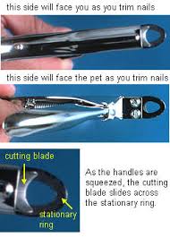 nail trimmer