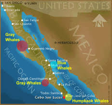 exclusive spas los angeles california