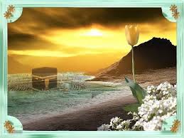 Resim