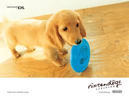 ninten dog