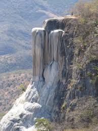 el arbol del tule