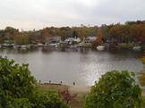 occoquan shad