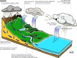 le cycle de leau