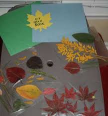 book of leaves