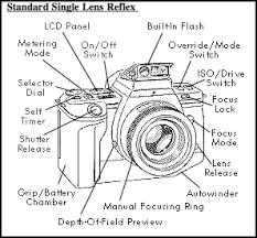 point and shoot film cameras