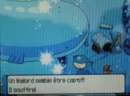carte wailord