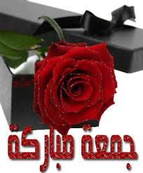  , www.alkarasheen.com , �������� , 