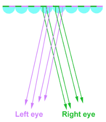 lenticular screen