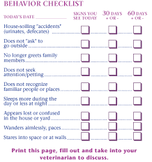 calendar 2010 printable six month