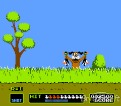 duck hunter download