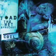 Toad The Wet Sprocket - Rings
